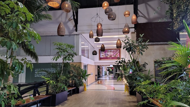 Notaría 1 de Medellín, barrio el poblado, Carrera 43A # 6 sur 15, Centro Comercial Oviedo, Piso 4 Local 5242